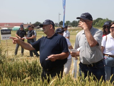Inovativni program selekcije - pšenica i ječam