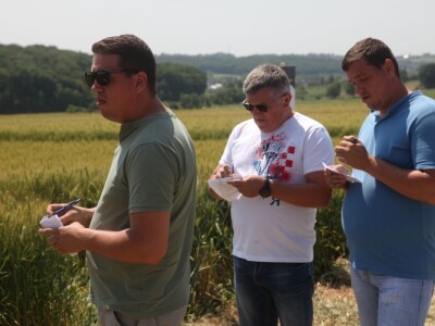 Inovativni program selekcije - pšenica i ječam