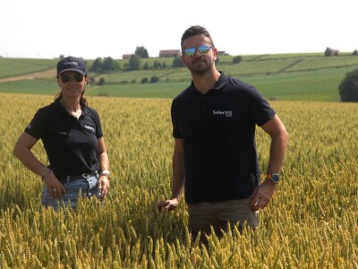 Inovativni program selekcije - pšenica i ječam