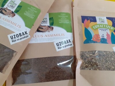 Insektarij - tvornica buba