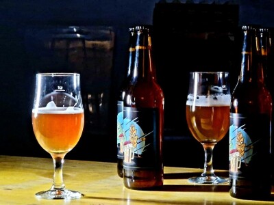 Insektarij - tvornica buba