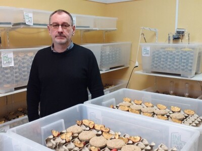 Insektarij - tvornica buba