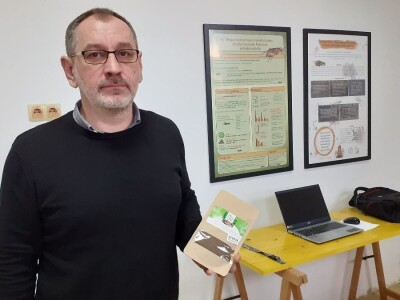 Insektarij - tvornica buba