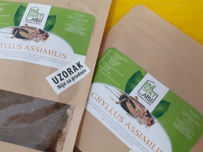 Insektarij - tvornica buba