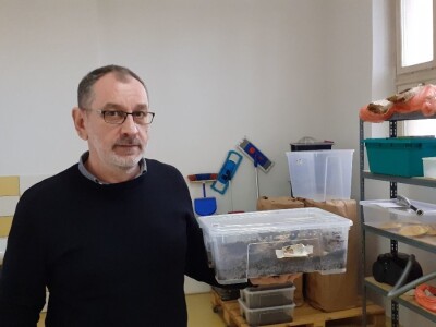 Insektarij - tvornica buba