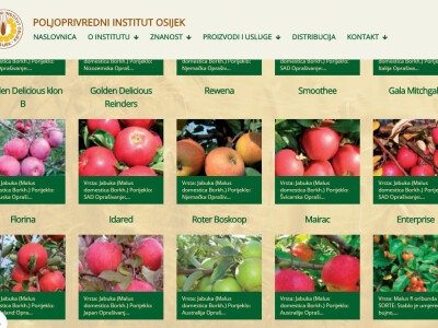 Voćne sadnice, katalog POLJINOS