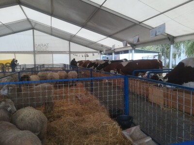 Sajam Interagro 2021.