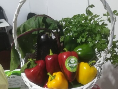 Sajam Interagro 2021.