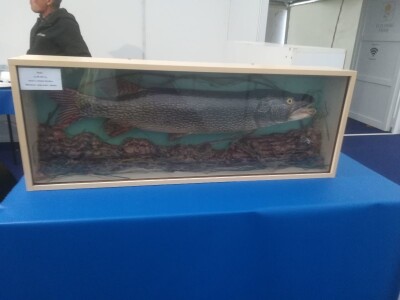 Sajam Interagro 2021.