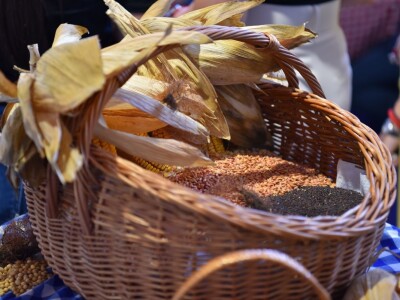 Interagro 2023, Bijeljina