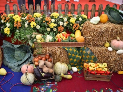 Interagro 2023, Bijeljina