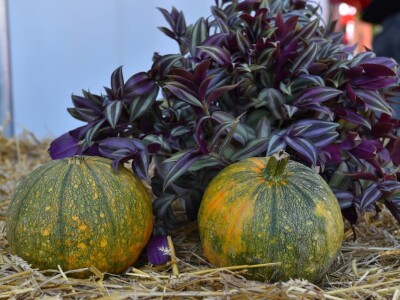 Interagro 2023, Bijeljina