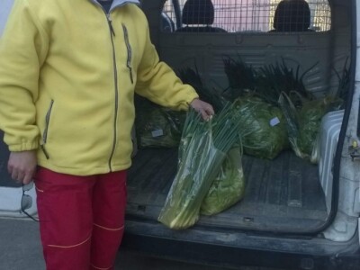 Internet prodaja zamena za pijace