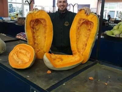 Internet prodaja zamena za pijace