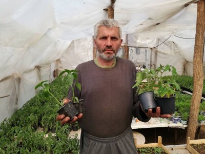 Internet prodaja zamena za pijace