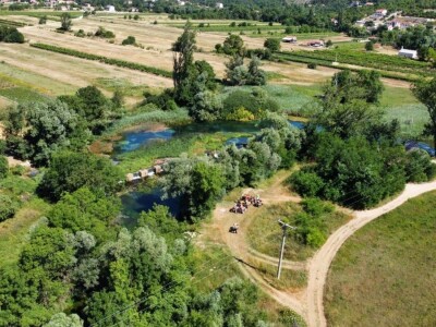 Intervju s Filipom Matkovićem