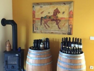 Intervju s Filipom Matkovićem