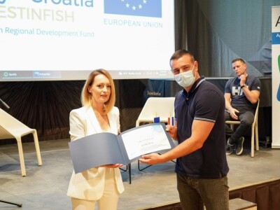Invazija galebova na ribogojilišta Kali Tune Invazija galebova na ribogojilišta Kali Tune