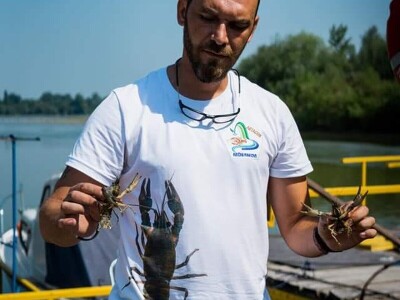 Invazivni rakovi Invazivni rakovi