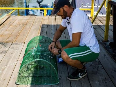 Invazivni rakovi Invazivni rakovi