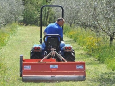 Traktor BCS Invictus RS