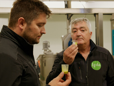 Farma crnih svinja Domagoja Vide Farma crnih svinja Domagoja Vide