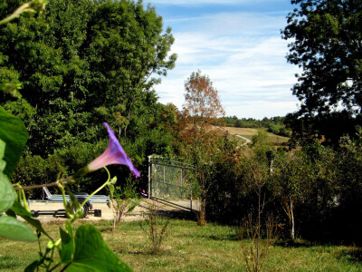 Irac zamijenio svjetske metropole životom na selu - pravi plastenik i sadi voće Irac zamijenio svjetske metropole životom na selu - pravi plastenik i sadi voće