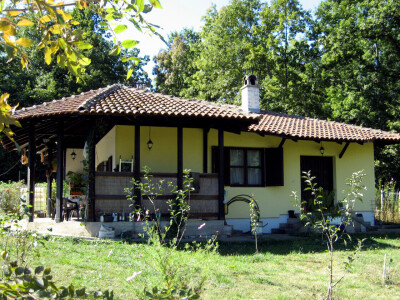 Irac zamijenio svjetske metropole životom na selu - pravi plastenik i sadi voće Irac zamijenio svjetske metropole životom na selu - pravi plastenik i sadi voće