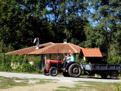 Irac zamijenio svjetske metropole životom na selu - pravi plastenik i sadi voće Irac zamijenio svjetske metropole životom na selu - pravi plastenik i sadi voće