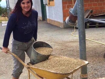 IRENA MAGLAJIĆ OPG MAGLAJIĆ