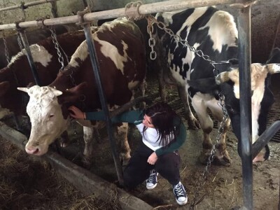 IRENA MAGLAJIĆ OPG MAGLAJIĆ