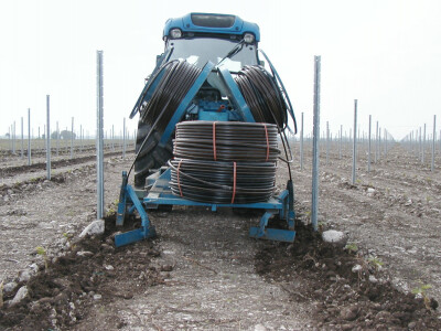 Postavljanje u vinogradu