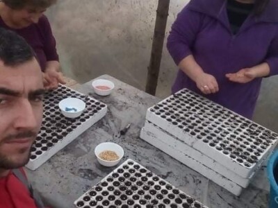 Ismar Aščalić: Kvalitet povrća i presadnica nam je prioritet