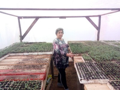 Ismar Aščalić: Kvalitet povrća i presadnica nam je prioritet