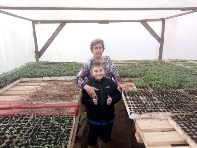 Ismar Aščalić: Kvalitet povrća i presadnica nam je prioritet