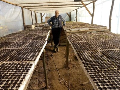 Ismar Aščalić: Kvalitet povrća i presadnica nam je prioritet