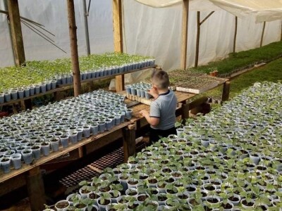 Ismar Aščalić: Kvalitet povrća i presadnica nam je prioritet