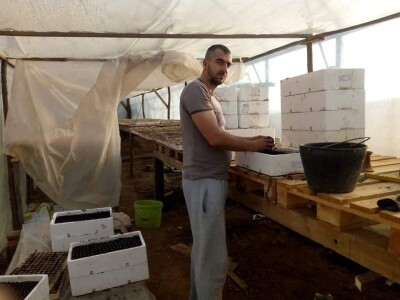 Ismar Aščalić: Kvalitet povrća i presadnica nam je prioritet