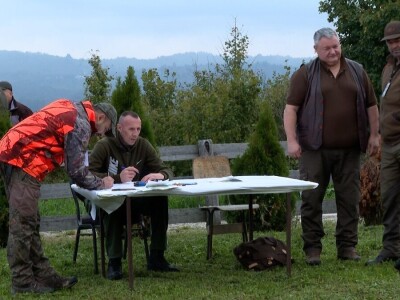 Ispitivanje urođenih osobina pasa glasnog gona na divlju svinju Ispitivanje urođenih osobina pasa glasnog gona na divlju svinju