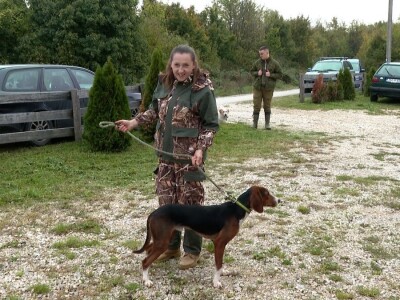 Ispitivanje urođenih osobina pasa glasnog gona na divlju svinju Ispitivanje urođenih osobina pasa glasnog gona na divlju svinju