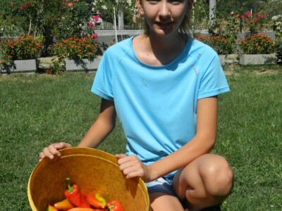 Isplati se proizvodnja povrća, cveća i kiselog kupusa