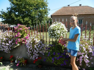Isplati se proizvodnja povrća, cveća i kiselog kupusa