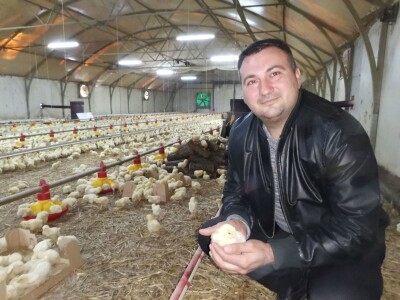 Isplativ samo uslužni tov pilića