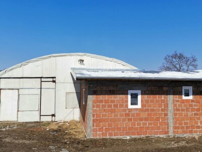 Isplativ samo uslužni tov pilića