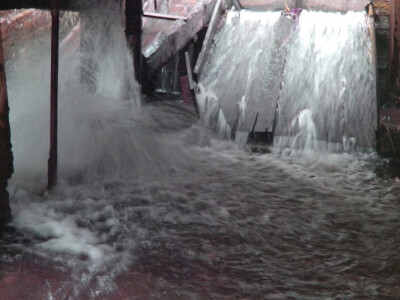 Oživjeli Hadžijin mlin i zasadili dulum malina Oživjeli Hadžijin mlin i zasadili dulum malina