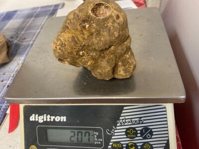 Istarski bijeli tartuf Istarski bijeli tartuf