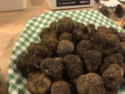 Istarski bijeli tartuf Istarski bijeli tartuf