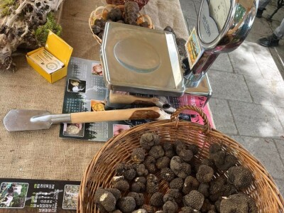 Istarski bijeli tartuf Istarski bijeli tartuf