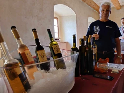 Istarski vinogradari i vinari na 15. Daniima vina na Grobniku