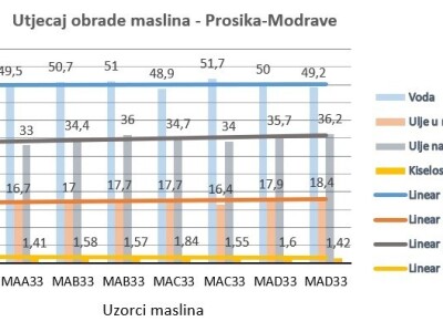 Istraživanje - mikorizacija maslina